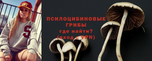 apvp Елабуга