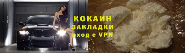 бошки Ельня