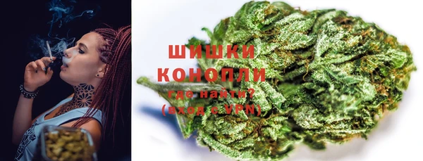 бошки Ельня