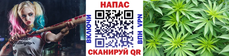 Бошки марихуана тримм Заволжск