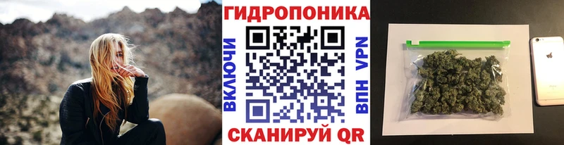 Бошки марихуана Bruce Banner  Заволжск 